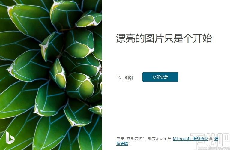 Bing Wallpaper下载,必应壁纸工具,桌面工具,壁纸软件