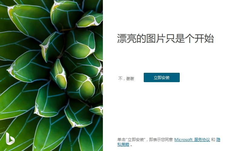 Bing Wallpaper下载,必应壁纸工具,桌面工具,壁纸软件