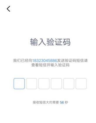 重庆市政府最新版下载,重庆市政府,政务app,资讯,重庆app
